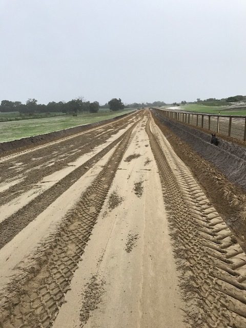 Before Photo - Deep Ploughing Services - Wanneroo Slashing